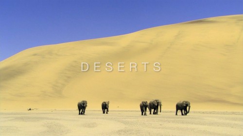 ep-5-deserts