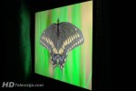 philips-5605-viewing-60