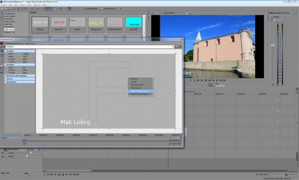 Pan-Crop-tool-window