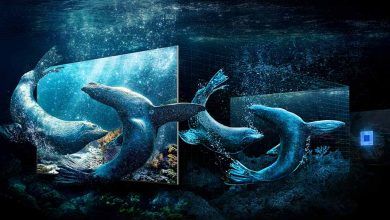2024_Real_Depth_Enhancer_Pro_PC