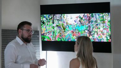 Sanda Anderlon LG OLED 2